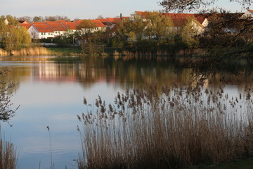 Teichlandschaft