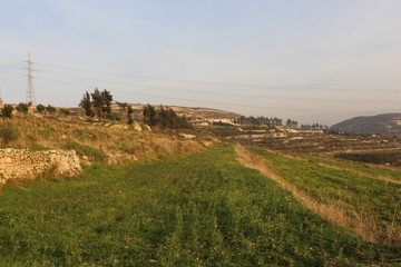 Fototapeta premium landscape