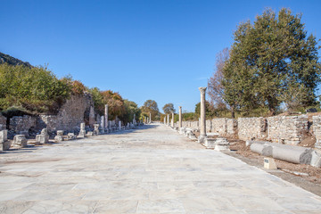 The ruins of the ancient city of Ephesus in Turkey.