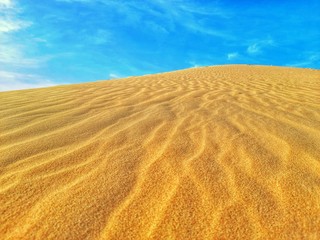 Fototapeta premium Sand dunes waves in desert
