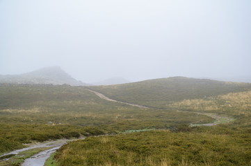 Path leading to the mountains. Green grass contrasting with yellow grass. Foggy day. Freita mountain range.