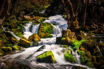 Fototapeta na wymiar Waterfall on the river in early spring. Grza river in Serbia.