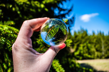 When the nature is waking up during the spring, photography with crystal ball