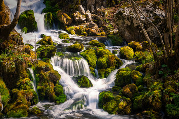 Obraz premium Waterfall on the river in early spring. Grza river in Serbia.
