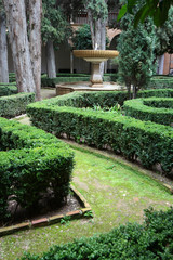 
Garden in the Alhambra palace complex