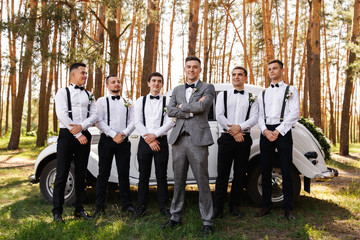 Group wedding photo of elegant groom in grey suit and groomsmen with black bow ties and suspender...