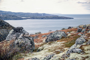 Fototapeta na wymiar Nature of the Arctic Circle in summer. Kola Peninsula Murmansk region.
