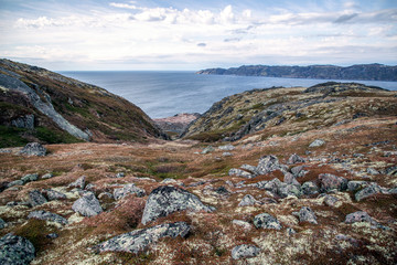 The rocky coast of the Barents Sea. Summer beyond the Arctic Circle