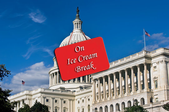   Gourmet Ice Cream Break for Congress.