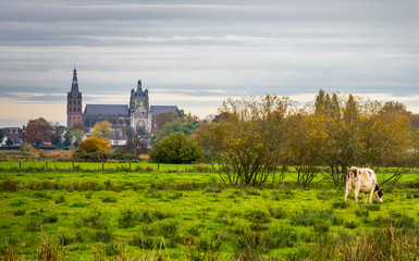 St. John's Cathedral in 's-Hertogenbosch as viewed from the hiking area called 