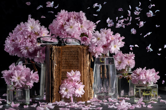 Cherry blossom, sakura flowers in a glass jar with petals