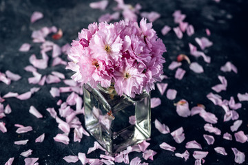 Cherry blossom, sakura flowers in a glass jar with petals