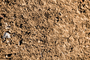 Texture