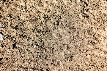 Texture