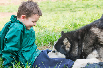 Boy playing with his dog. Happy child plays with siberian husky dog. Active children concept