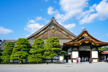 Fototapeta premium 二条城 二の丸御殿