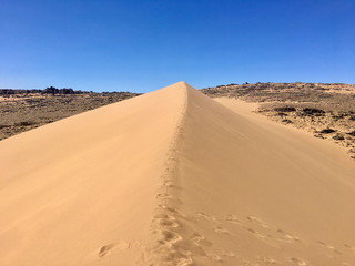 Fototapeta na wymiar Sahara desert scenic beautiful dunes