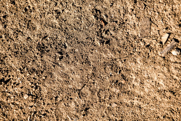 Texture