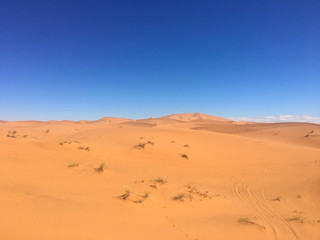 Fototapeta na wymiar Sahara desert scenic beautiful dunes