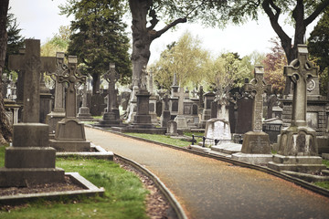 Fototapeta na wymiar GLASNEVIN CEMETERY, Old graveyard with Celtic cross gravestones , Celtic cross Dublin Ireland