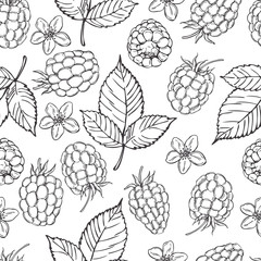 Hand drawn berry. Raspberry on white background.   Vector  seamless pattern