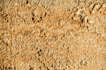 Texture