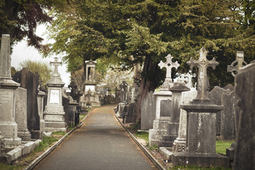 GLASNEVIN CEMETERY, Old graveyard with Celtic cross gravestones , Celtic cross Dublin Ireland
