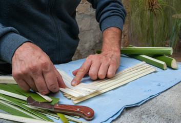 Artisan of the papyrus paper in Syracuse overlapping perpendicularly strips obtained from the stem of the plant - obrazy, fototapety, plakaty