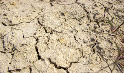 Сracked earth texture. Climate change, drought, protection of nature and the environment.