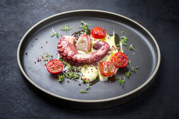 Traditional Italian polpo alla griglia su crema di patate with barbecued octopus, potato puree cream and tomatoes as closeup on a modern design plate