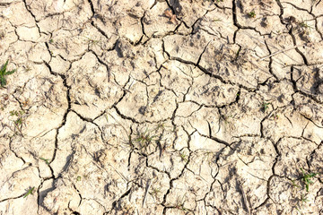 Сracked earth texture. Climate change, drought, protection of nature and the environment.