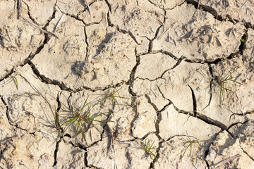 Сracked earth texture. Climate change, drought, protection of nature and the environment.