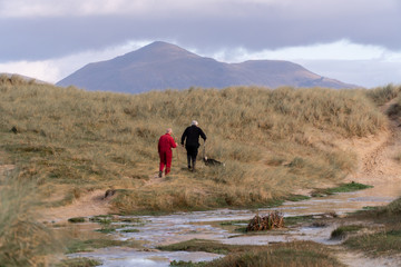 Two  Scottish farmers go with their dogs to work on the field and herd their sheeps. Mountain range in the background.