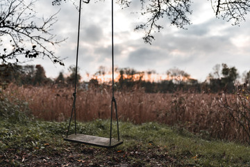 Old wooden swing in the forest
