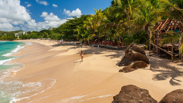 tropical paradise beach with white sand and coco palms travel tourism wide panorama background Luxury travel summer holiday background concept. Caribbean islands