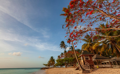 Sunset at Pigeon Point, Tobago, Trinidad and Tobago, Caibbean, West Indies, small beach in Trinidad...
