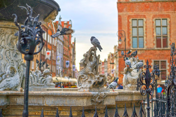 Fototapeta na wymiar Fountain sea city of Gdansk