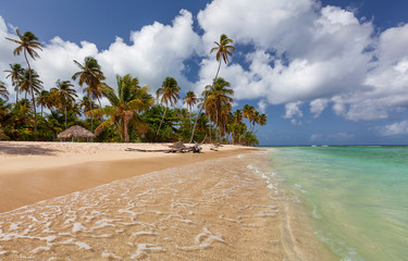 tropical paradise beach with white sand and coco palms travel tourism wide panorama background...
