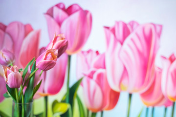 pink tulips on the picture of tulips. Flowers in a glass vase. Red with green leaves. Copy space for text