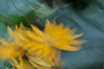 Abstrakcyjne rozmyte żółte kwiaty