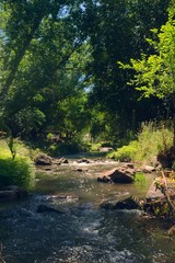 Fresh, cool rocky creek in the forest near Potrero de los Funes, San Luis, Argentina.