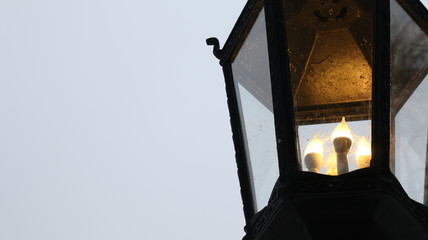 Lantern and spiders webs