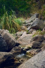 Fototapeta na wymiar Rocky mountain creek near Potrero de los Funes, San Luis, Argentina.