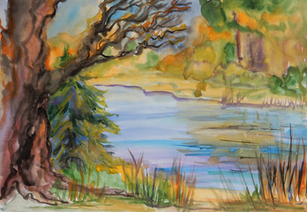 Fototapeta na wymiar watercolor drawing autumn landscape in yellow tones an old tree by the blue river