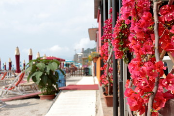 Italian summer: pink flowers in the beach bar before aperitif