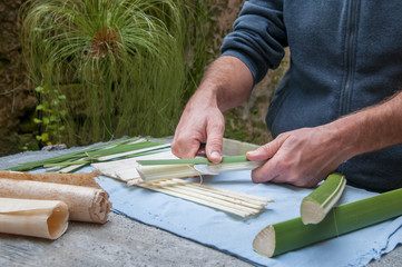 Papyrus paper artisan in Syracuse cutting the stem of a papyrus plant to obtain thin strips