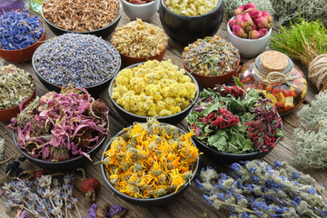 Bowls of dry medicinal herbs - lavender, cornflower, echinacea, marigold, rose, daisies, oak bark, Helichrysum, healthy moss and lichen. Healing herbs assortment. Herbal medicine.
