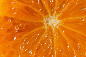 Juicy orange pulp close-up. Front view.