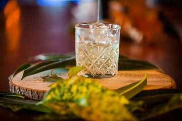 Cocktail, alcohol!!!