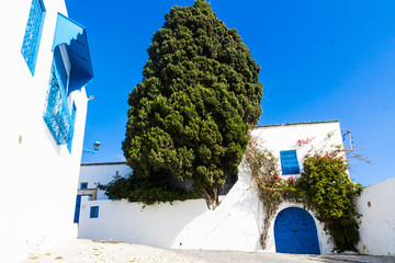 casa azul de Sidi Bou tunez